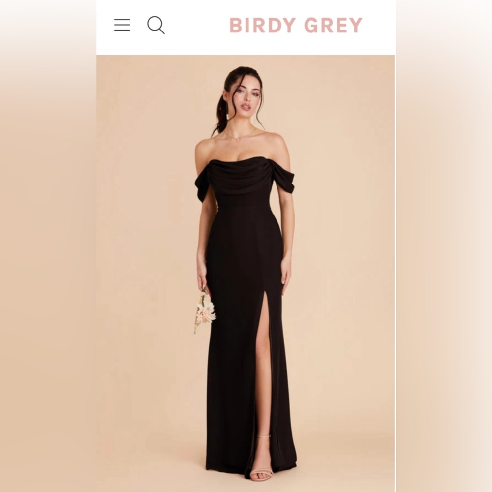 BRAND NEW WITH TAGS Birdy Grey Dress